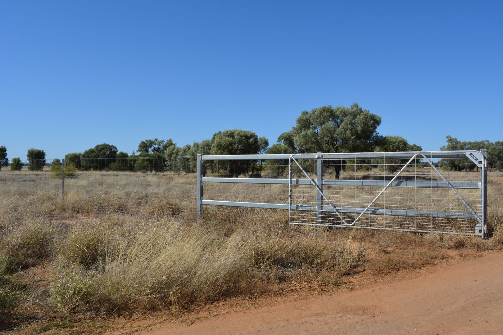 289 Jericho Road, Blackall QLD 4472 Specialist Farm for Sale 195,000