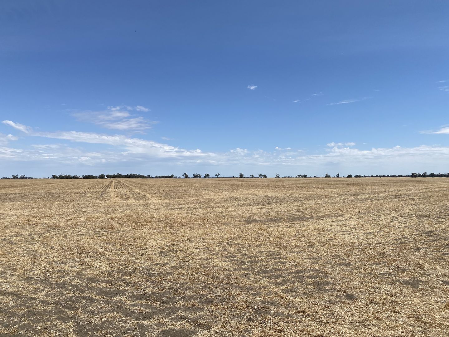 Donald-Murtoa Road, Minyip VIC 3392, Image 1