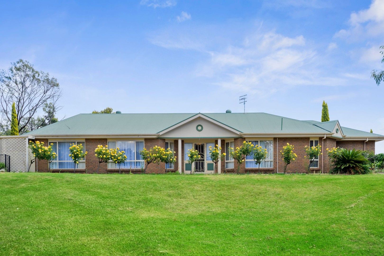 3A Meander Avenue, Renmark SA 5341 Domain