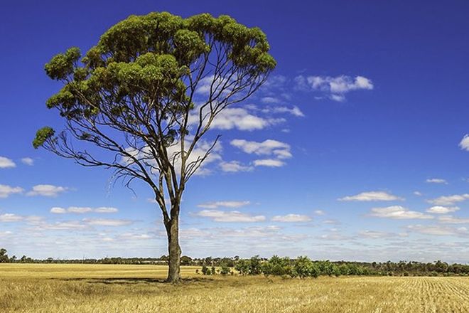 Picture of 1140 Ranford Road, KATANNING WA 6317