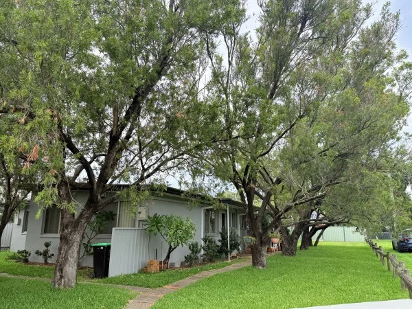 Primary image of 1/2 Elaine Court, Werrington NSW 2747