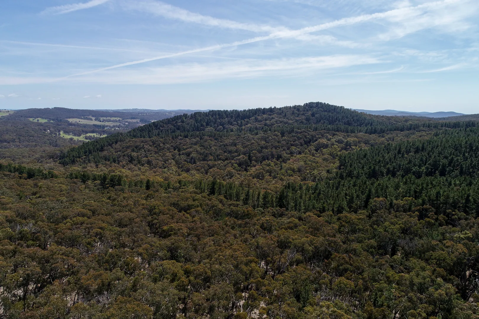 Large Acreage Bush Block - View 2