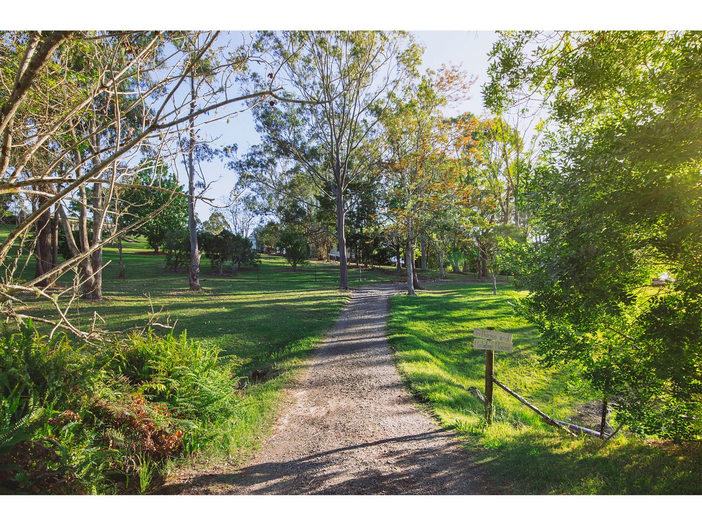 158 Teutoberg Avenue, Witta QLD 4552, Image 2