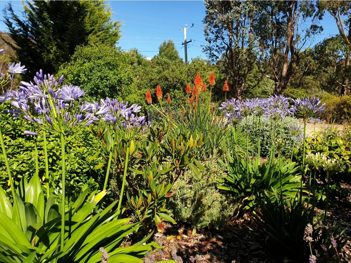 Image 23