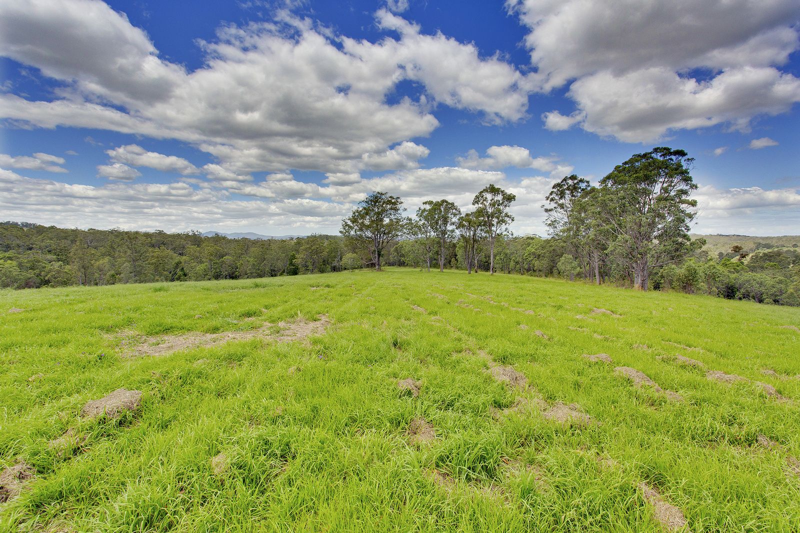 Lot 1 Willi Willi Road, Temagog NSW 2440, Image 2