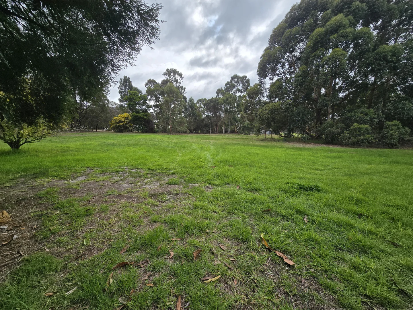 Image 15