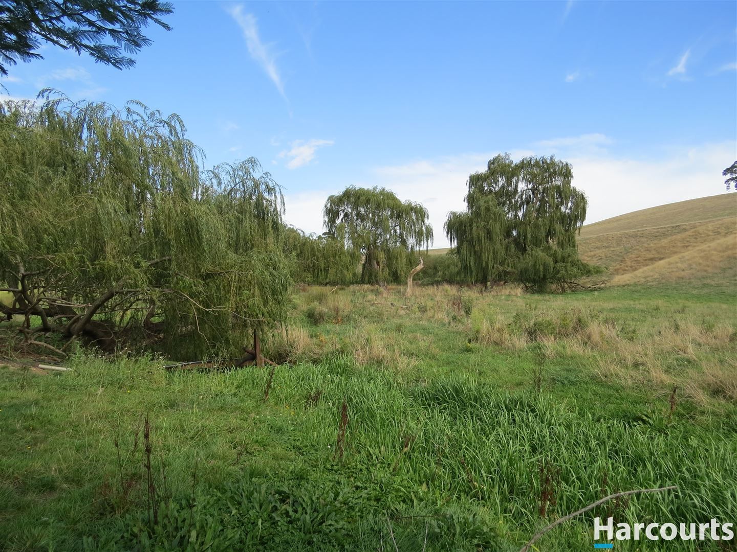 Lot 3/131 Warragul Leongatha Road, Ellinbank VIC 3821, Image 1