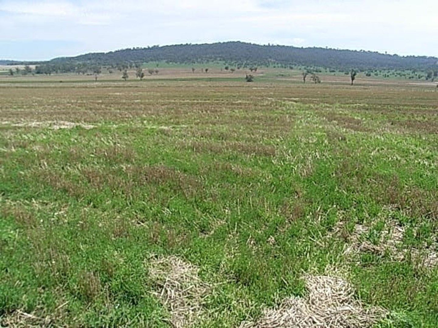 "Invereness", Warialda NSW 2402, Image 0