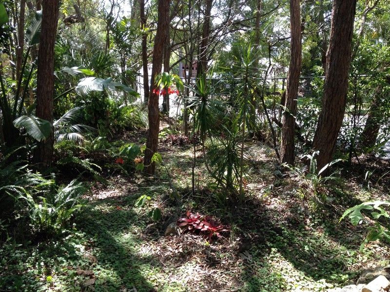 Lot/10 Sleipner Street, Mount Archer QLD 4701, Image 2