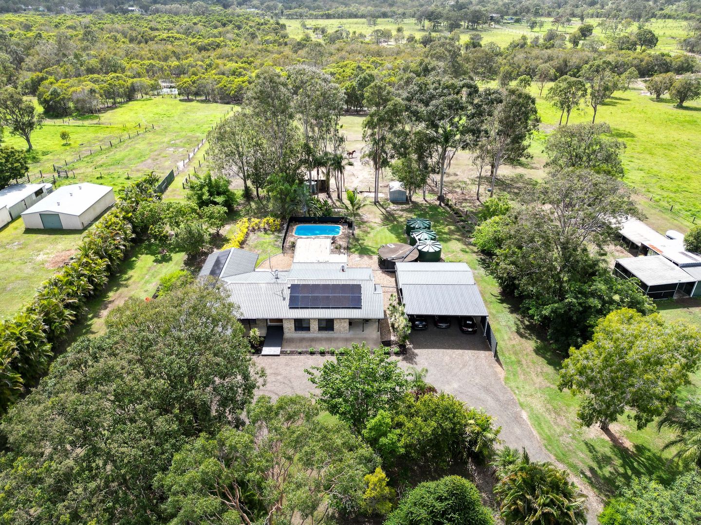 107 PARKE AVENUE, Sunshine Acres QLD 4655 Rural Lifestyle Property
