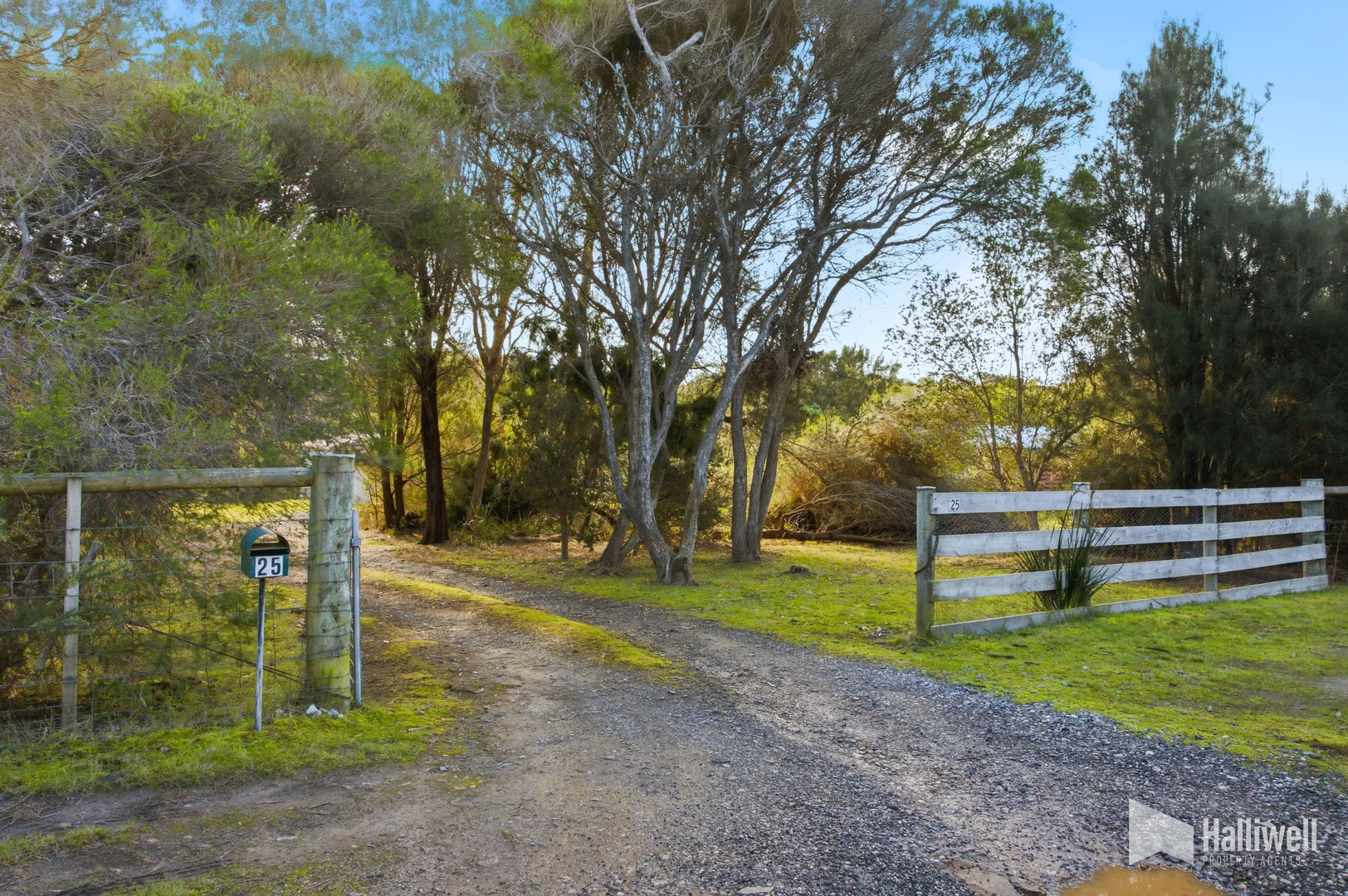 Image 12