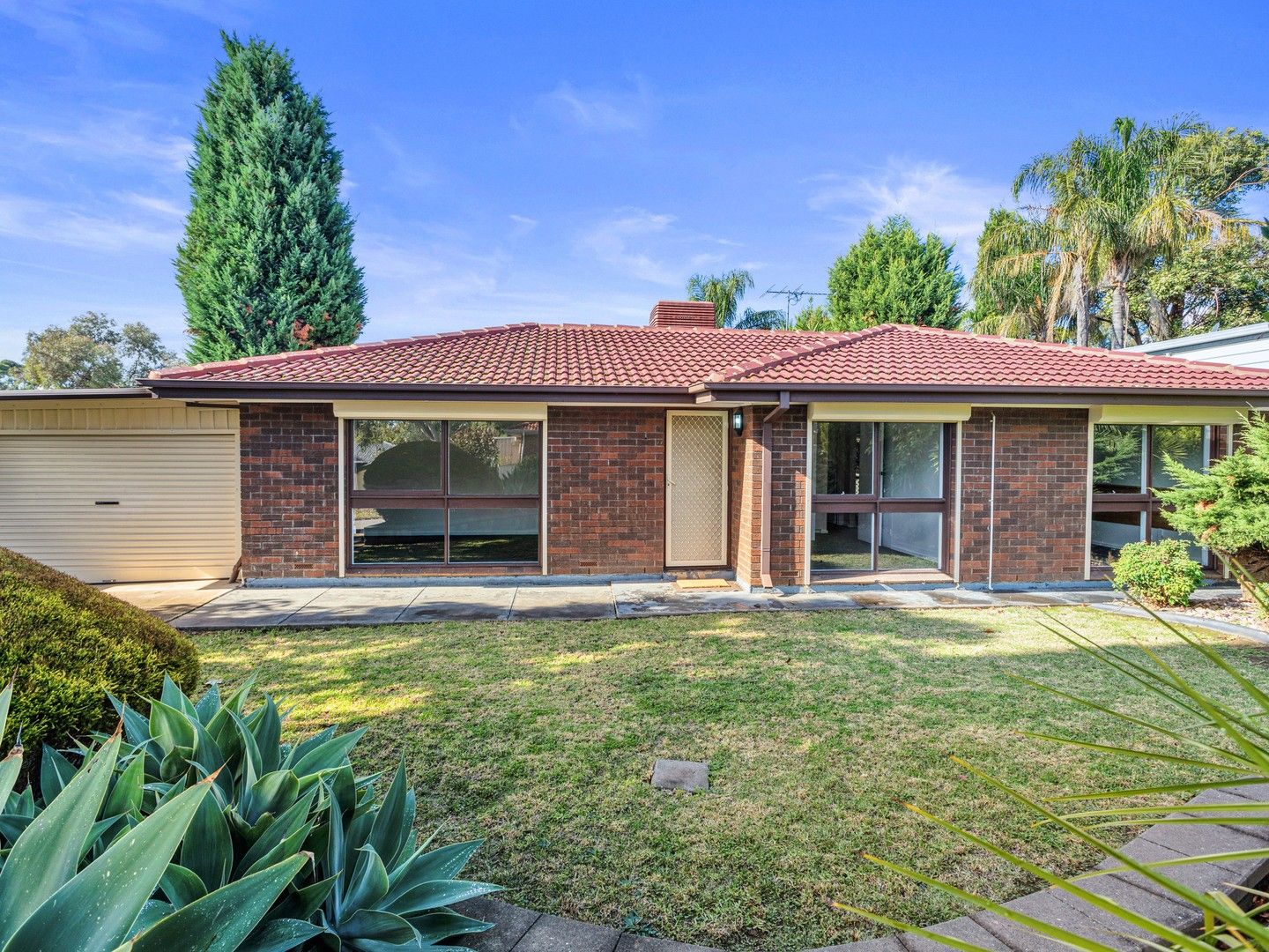77 Casuarina Avenue, Surrey Downs SA 5126 House For Rent 475 Domain