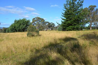 Lot 3/3386 Nugent Road, Buckland TAS 7190, Image 2