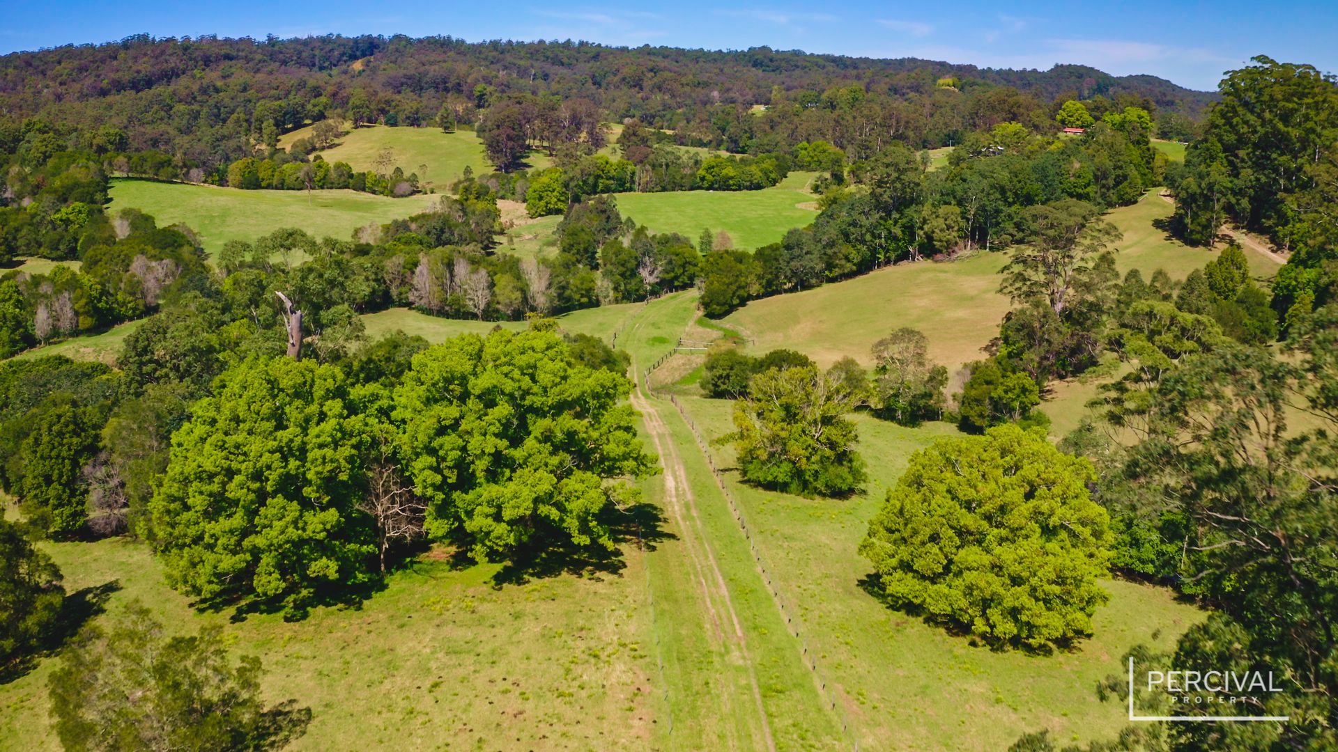 Lot 3 Neilson Lane, Lorne NSW 2439, Image 2