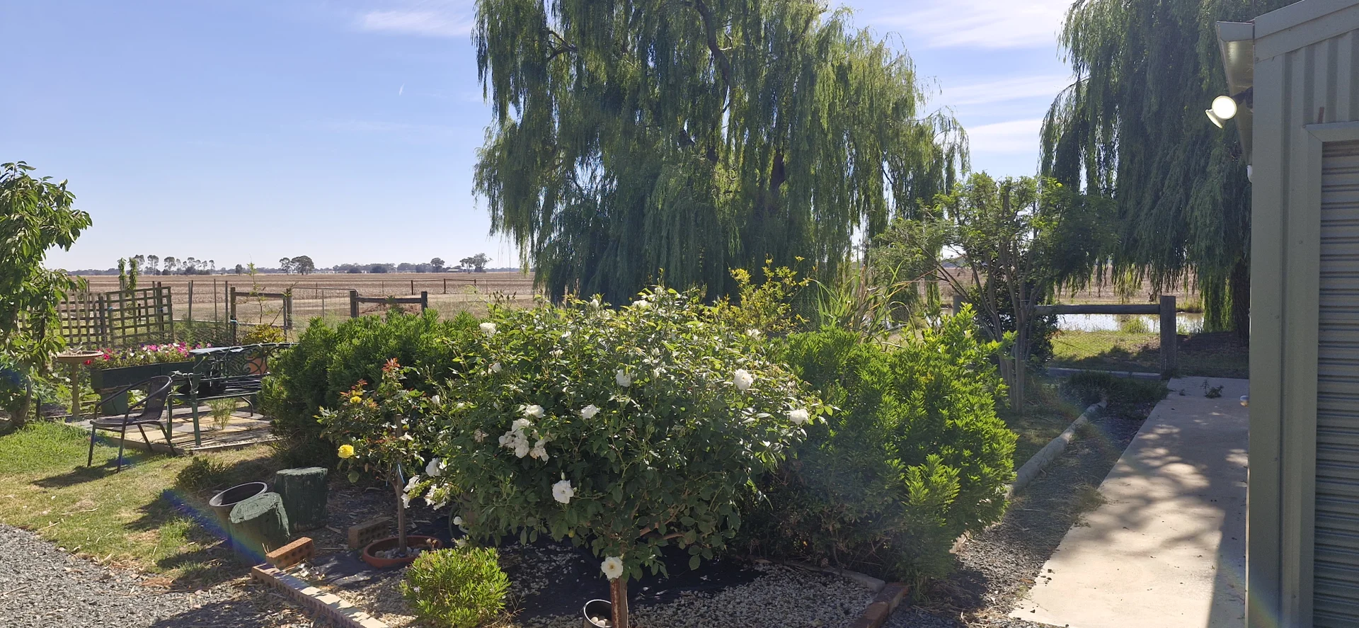 Image 23