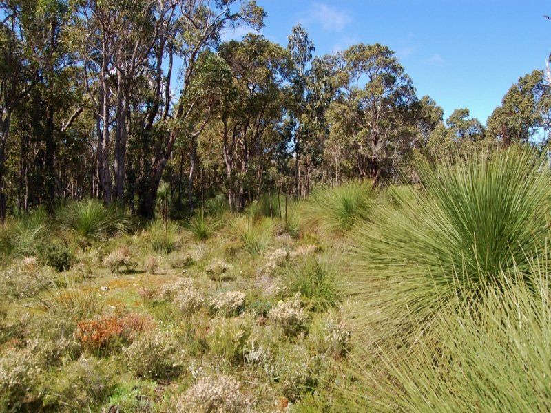 Lot 7 Yungarra Drive, Quedjinup WA 6281, Image 1