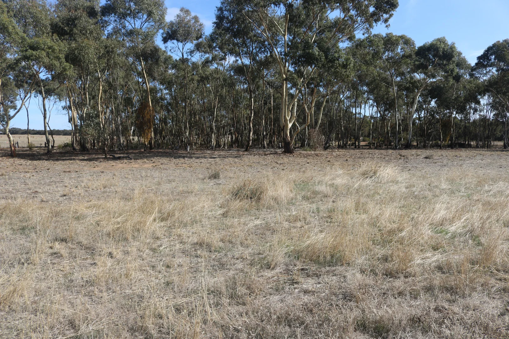 Additional image 5 of Old Boort Road, Woolshed Flat VIC 3518
