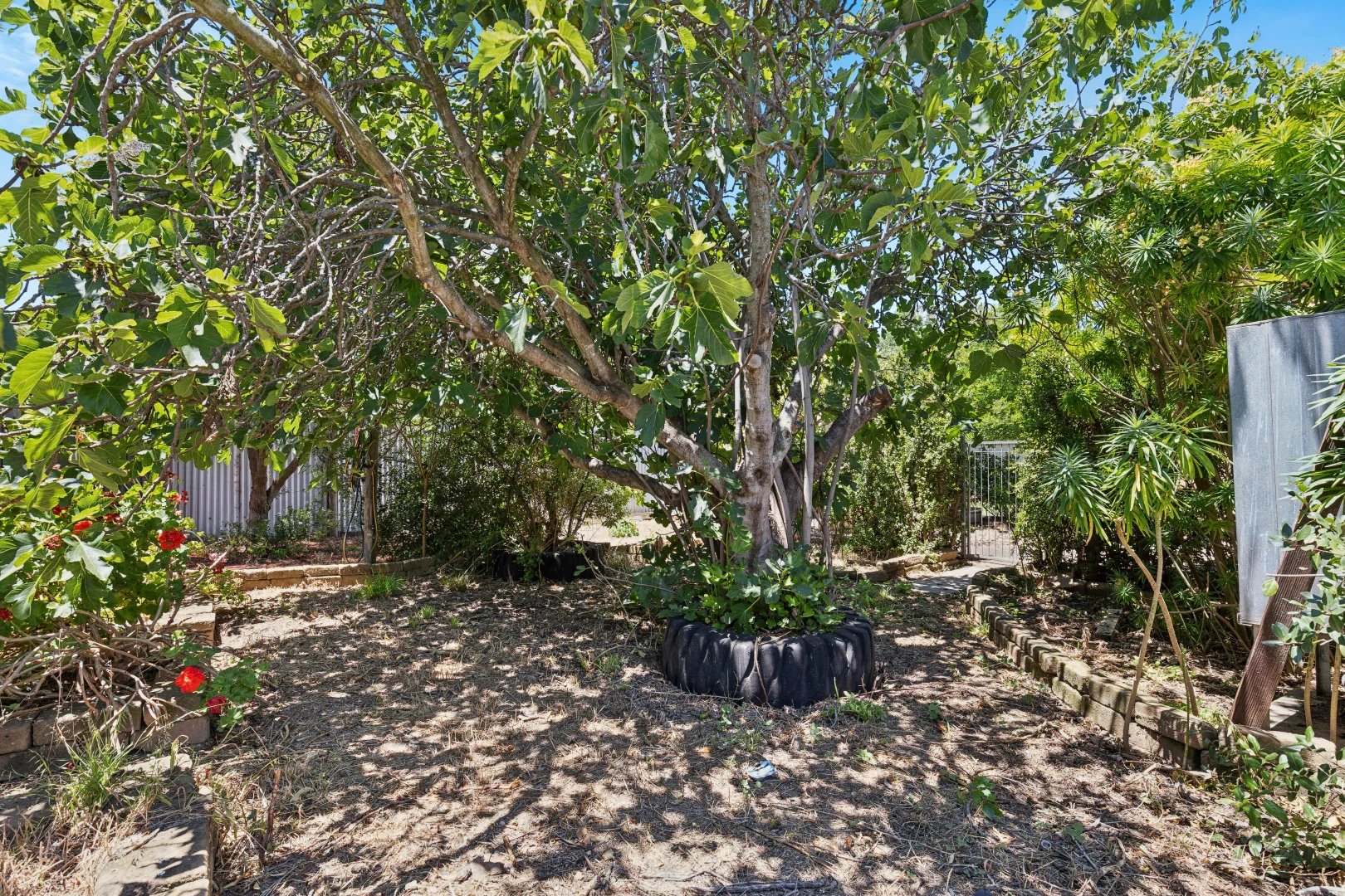 Additional image 21 of 4 Kulde Road, Tailem Bend SA 5260