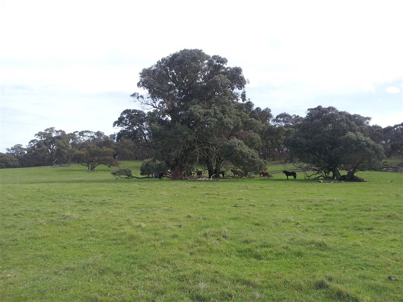 Lot 1/213 Beaufort-Lexton Road, BEAUFORT VIC 3373, Image 2