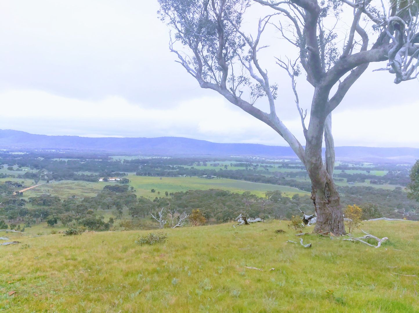 170 Rifle Butts Road, Landsborough VIC 3384 Rural Lifestyle Property