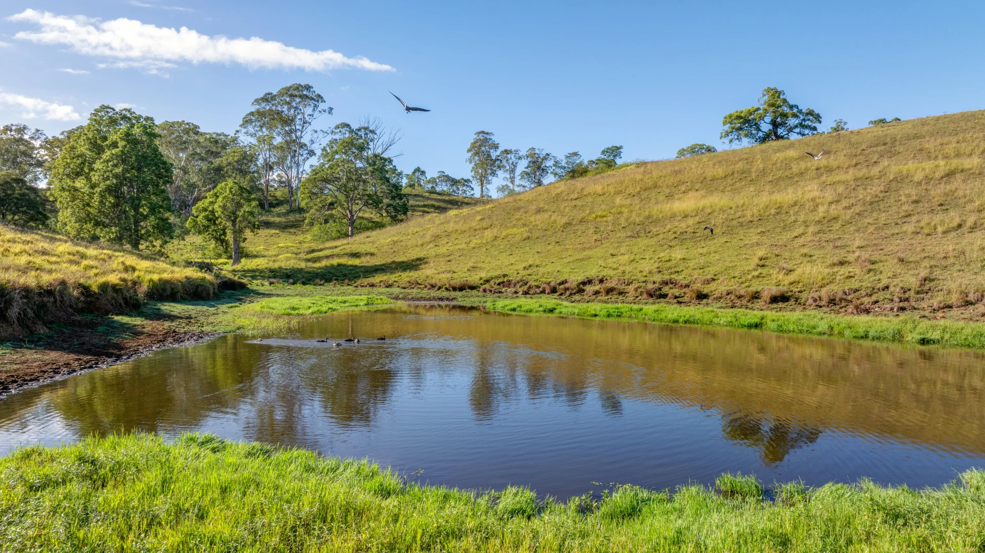 Additional image 21 of 2898 The Bucketts Way, Stroud NSW 2425