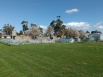 Image 14