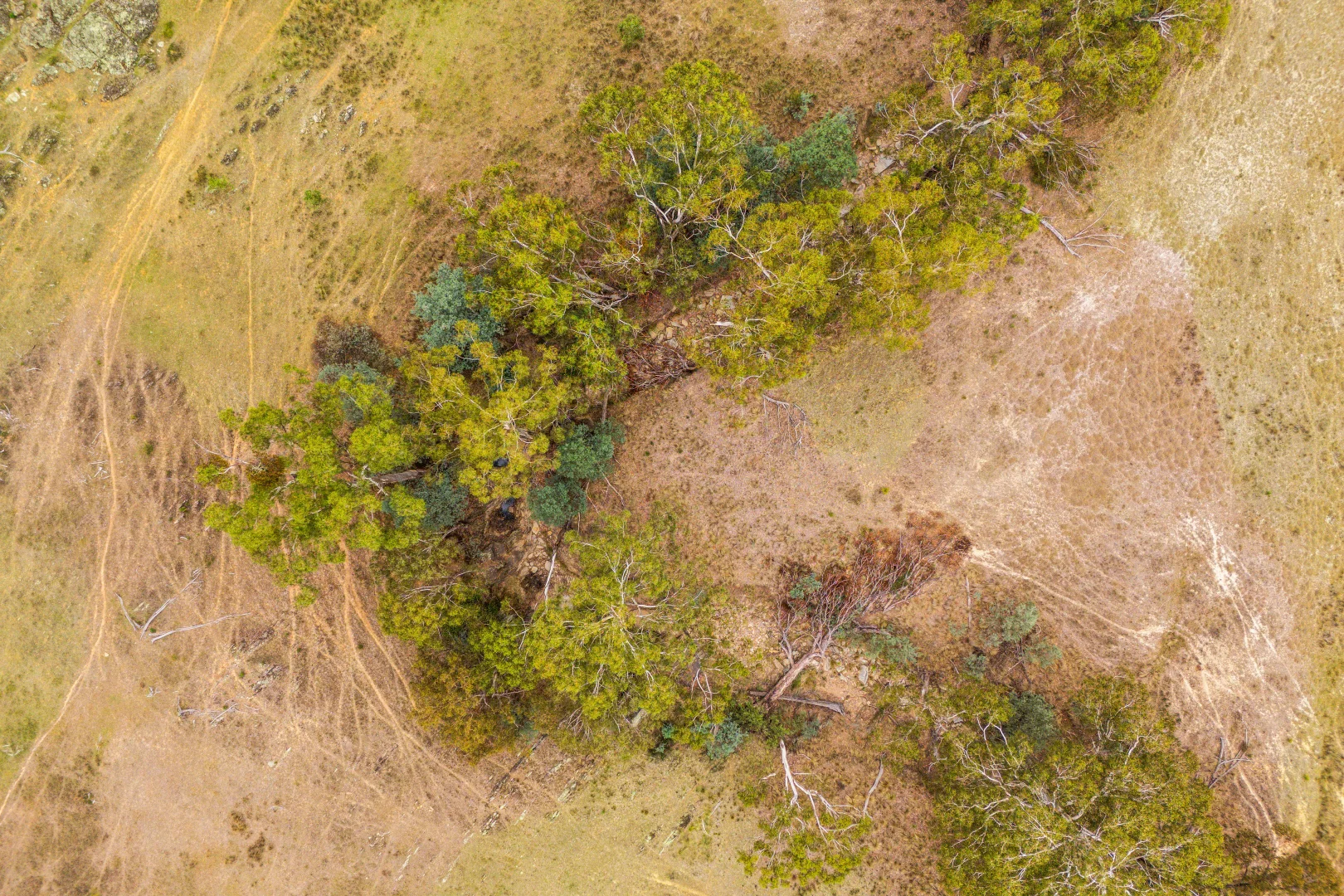 Additional image 16 of 678 Dry Creek Road, Lewis Ponds NSW 2800