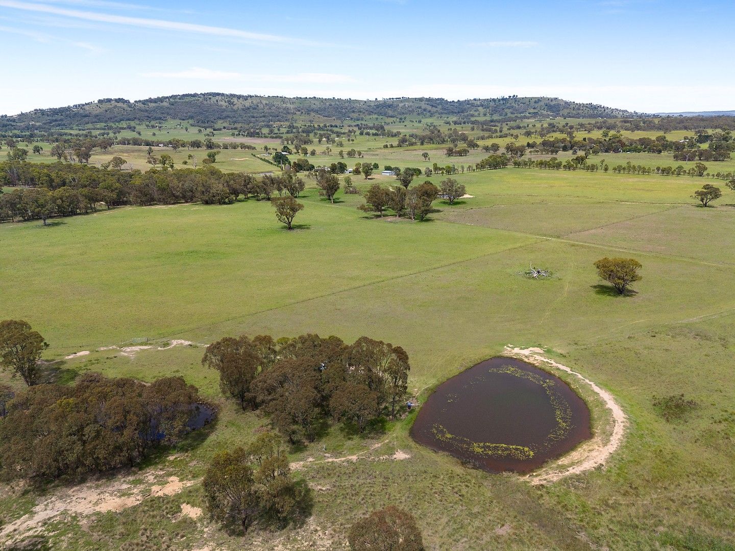 214 Pyangle Road, Camboon NSW 2849, Image 0