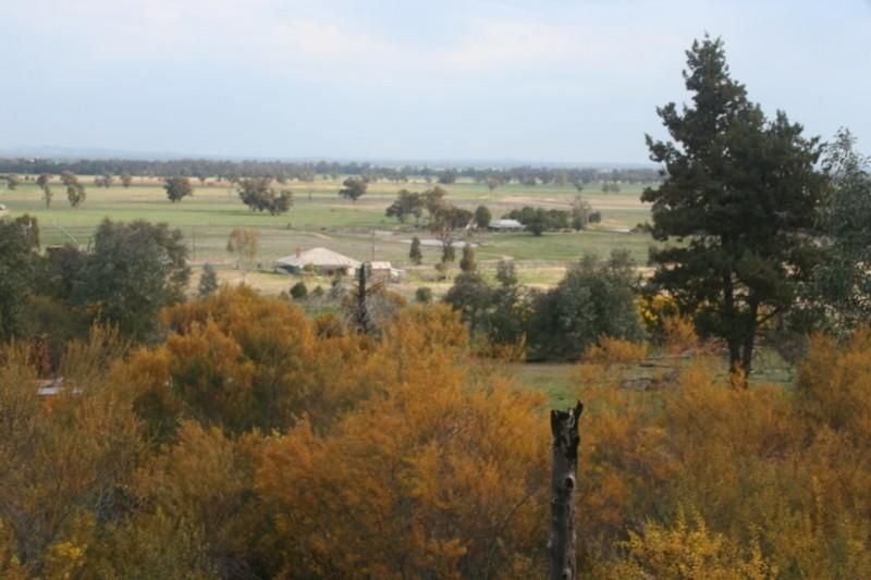 Lot 10 West Street, EUGOWRA NSW 2806, Image 0