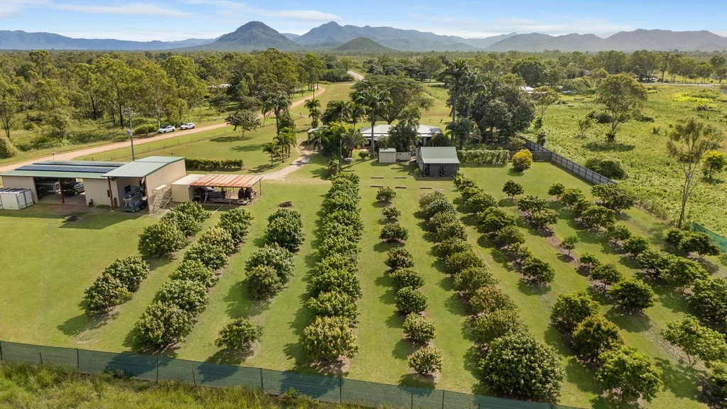 Additional image 23 of 17 Farm Road, Black River QLD 4818