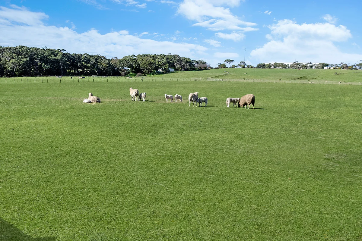 Additional image 16 of 94 The Broadway, Portland VIC 3305