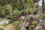 Image 13