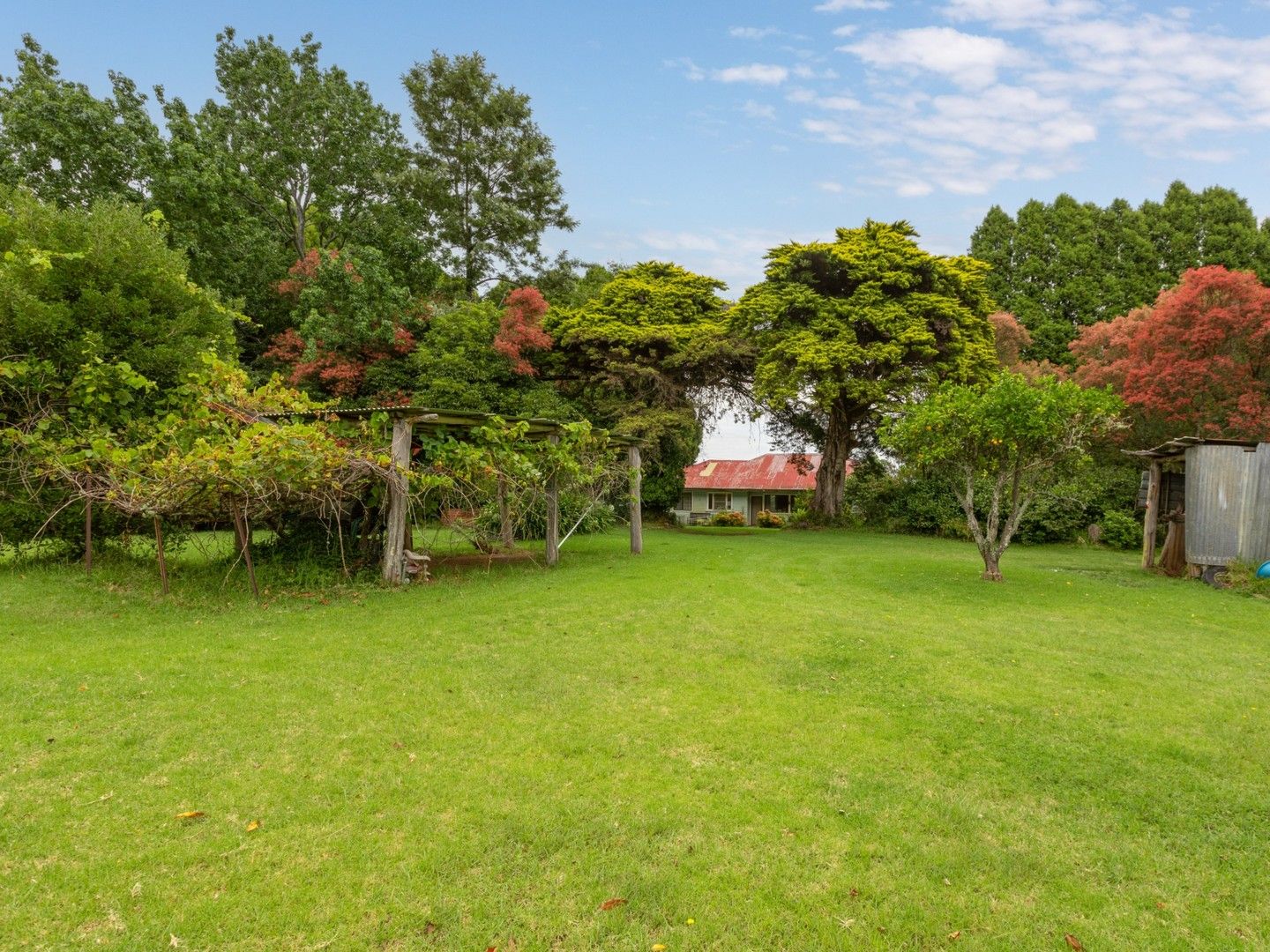 160 Murrays Flat Road, Tarraganda NSW 2550, Image 0