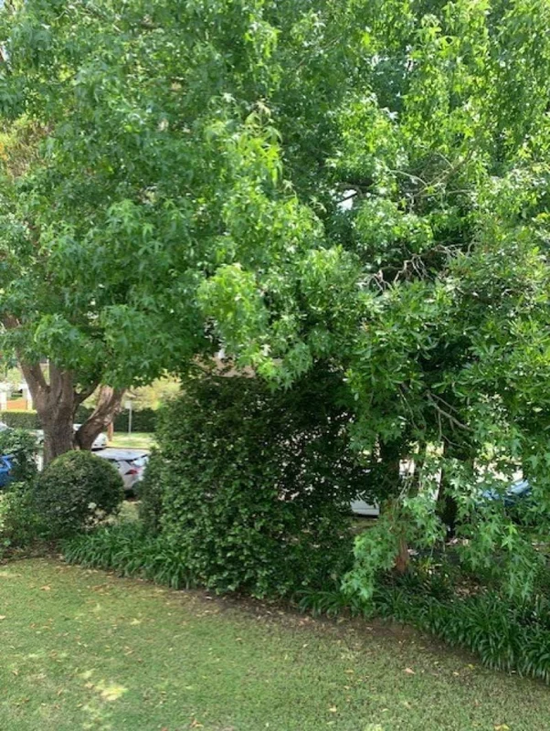 Additional image 20 of 6/4-6 Woniora Avenue, Wahroonga NSW 2076