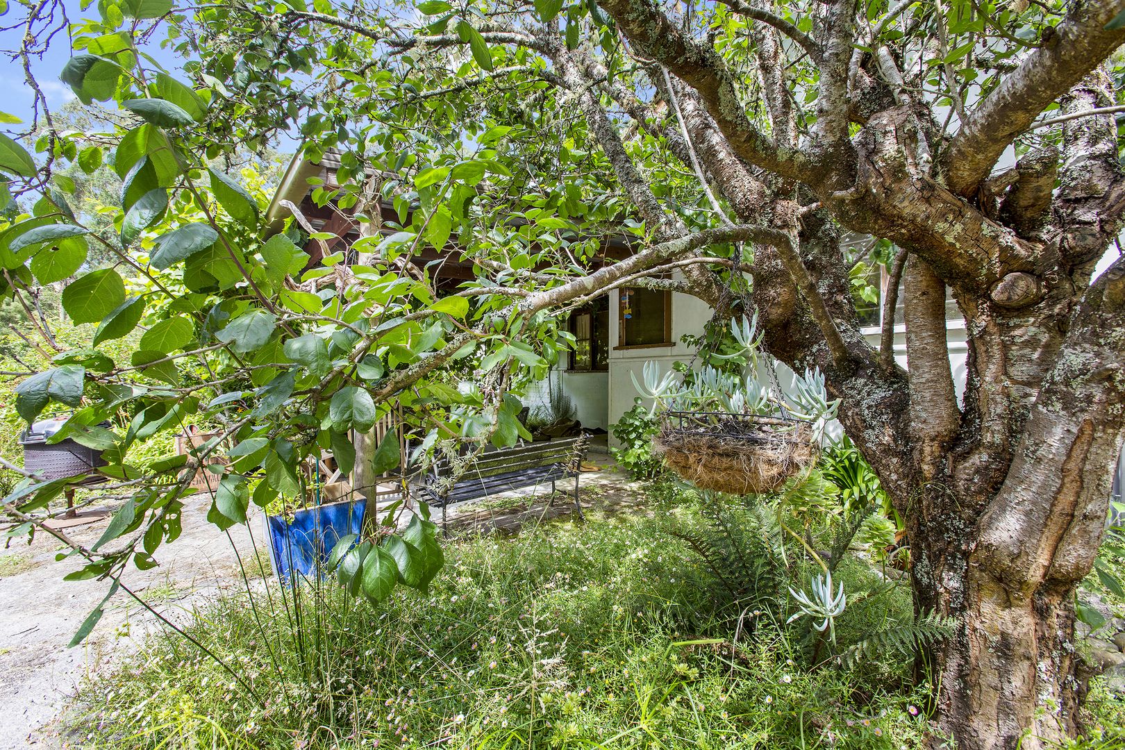 605 Barham River Road, Apollo Bay VIC 3233, Image 1