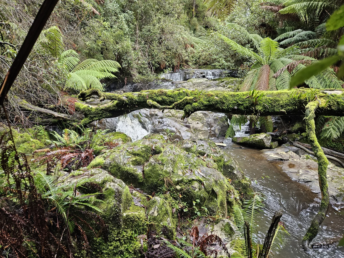 Image 6