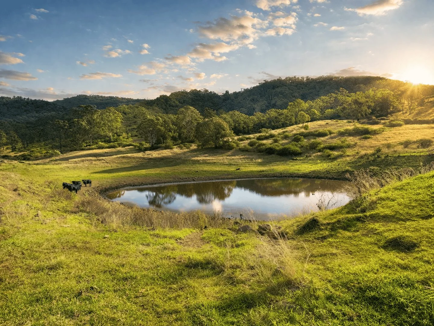 Additional image 19 of 376 Lagoon Creek Road, West Haldon QLD 4359