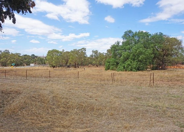 659 Old Junee Road, Old Junee NSW 2652