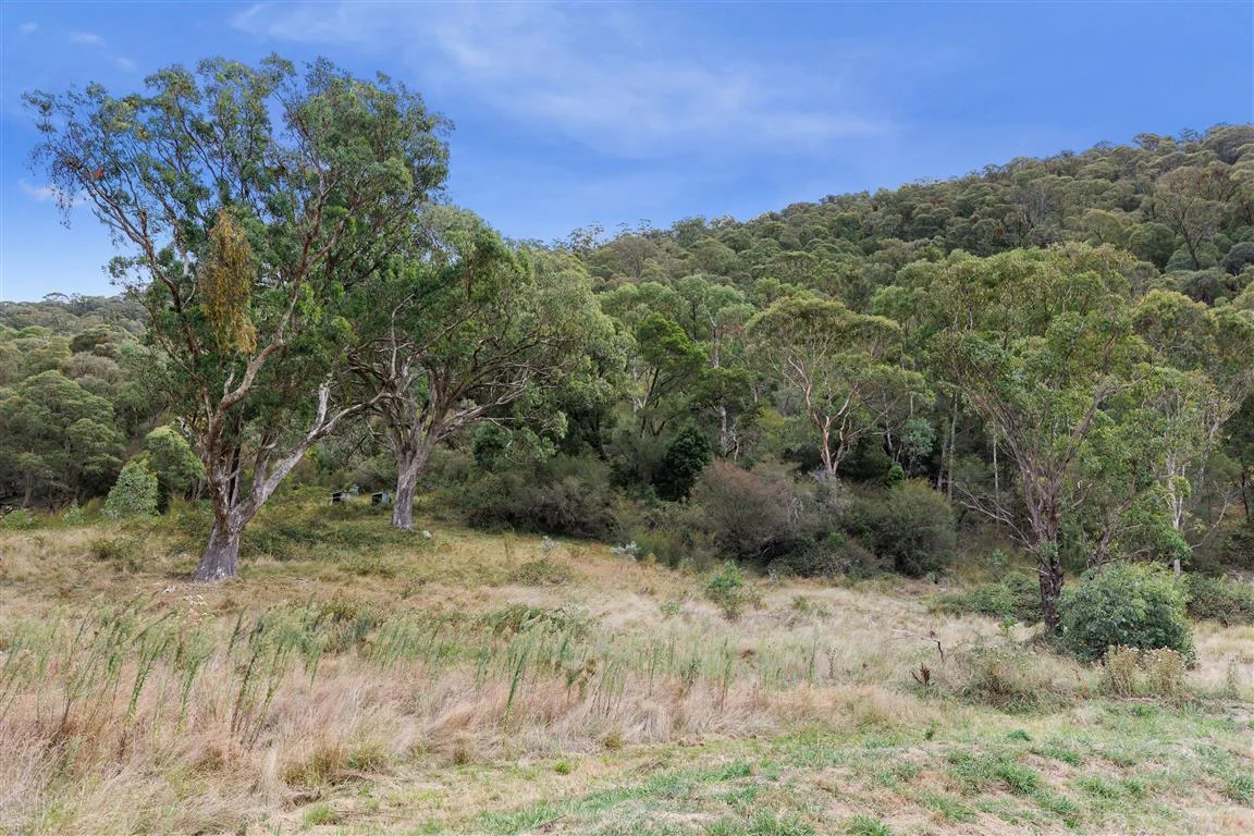 Image 34