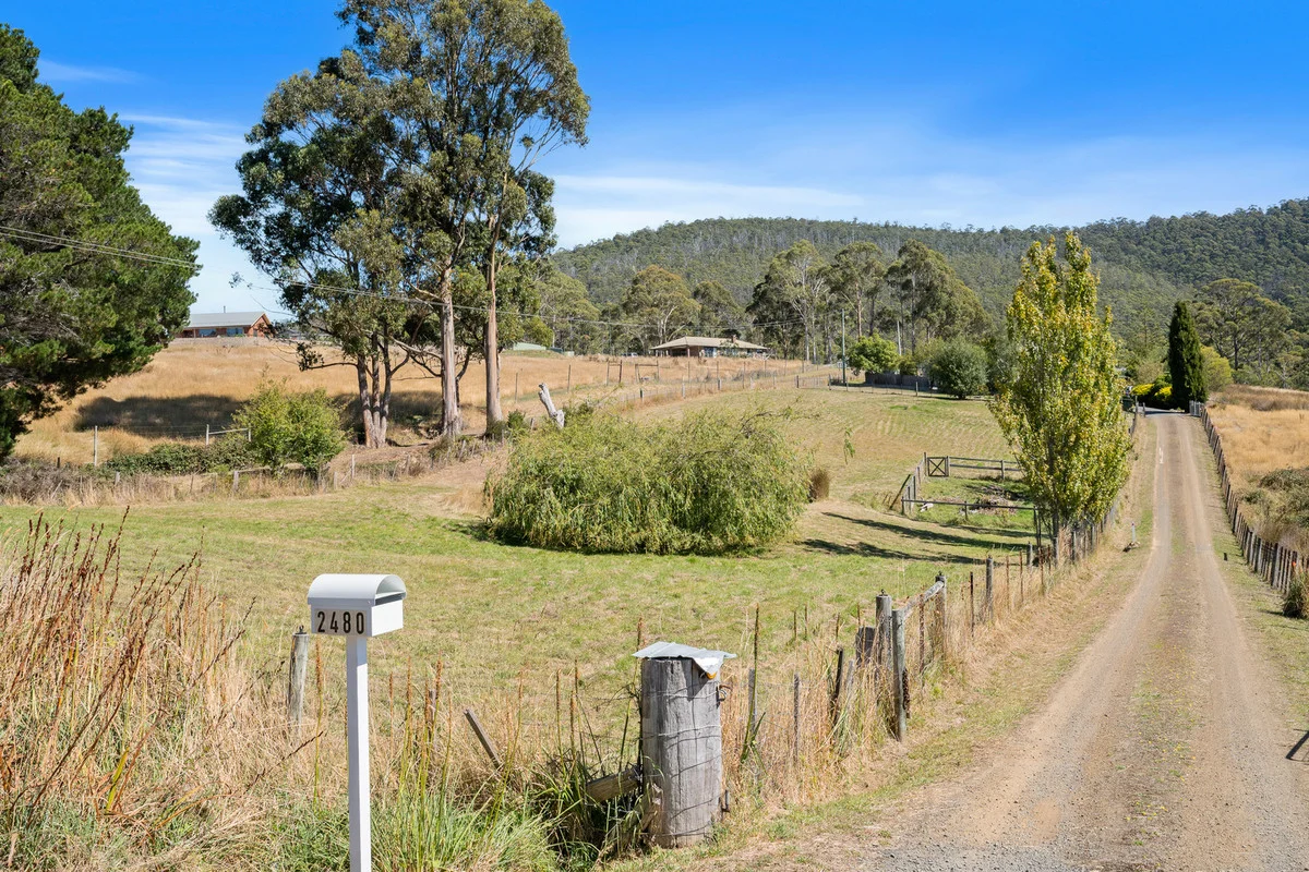 Image 32