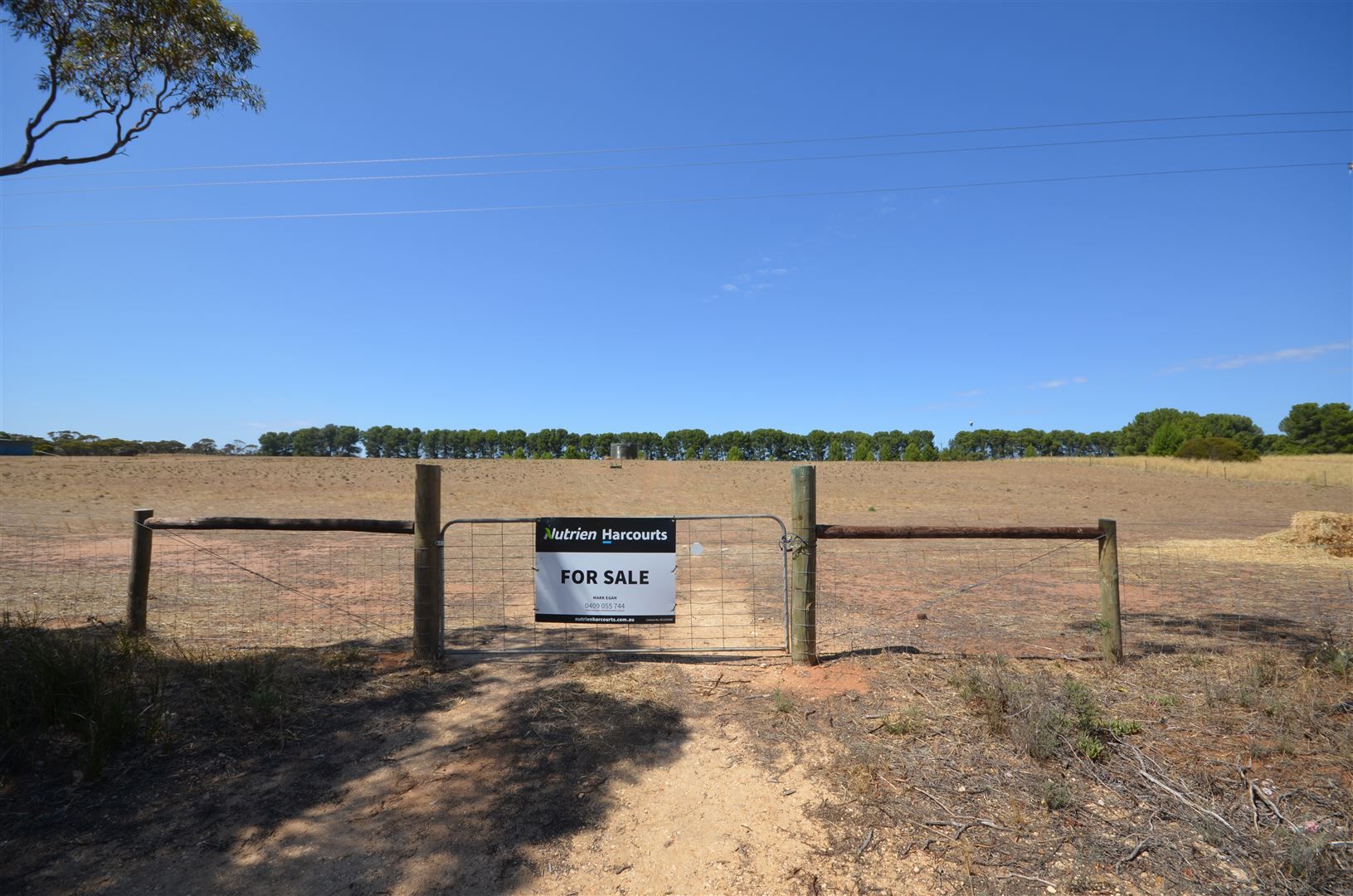 Lot 52 Bruce Road, Karoonda SA 5307, Image 0