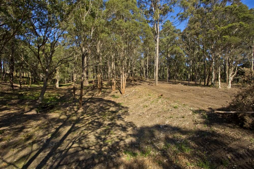 5 Taylor Road, BLACK HILL NSW 2322, Image 0