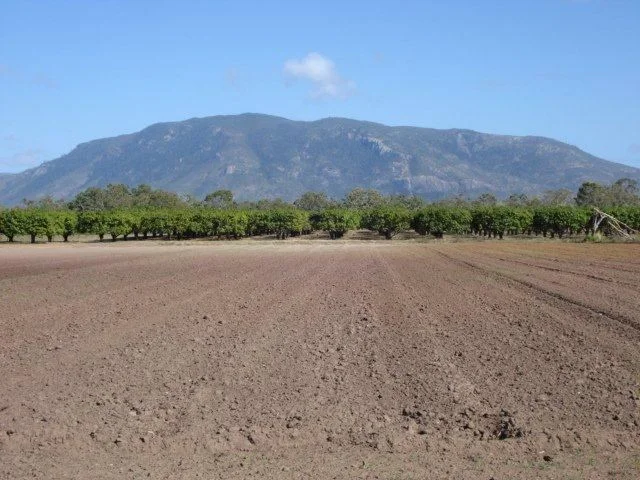 Additional image 28 of Bowen QLD 4805