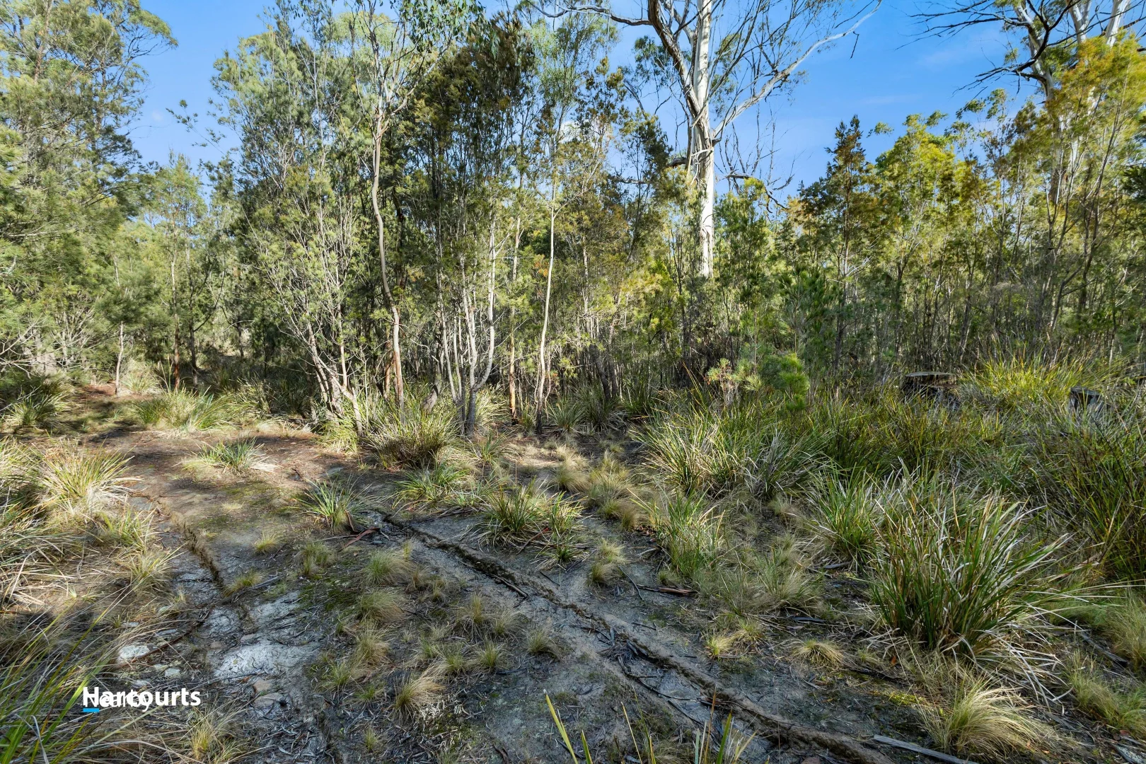 Image 15