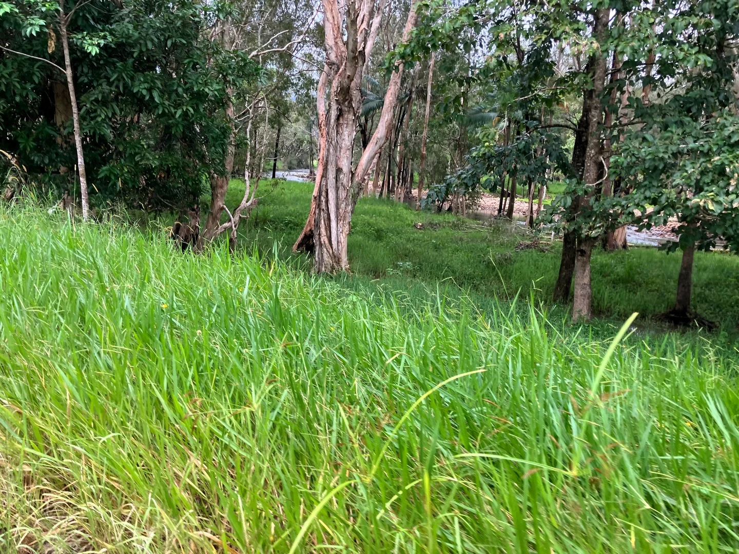 Additional image 24 of Gorge Road, Finch Hatton QLD 4756