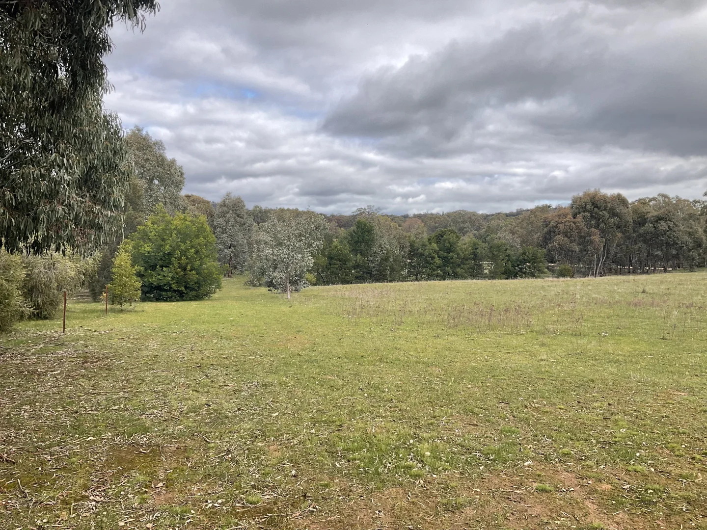Image 15