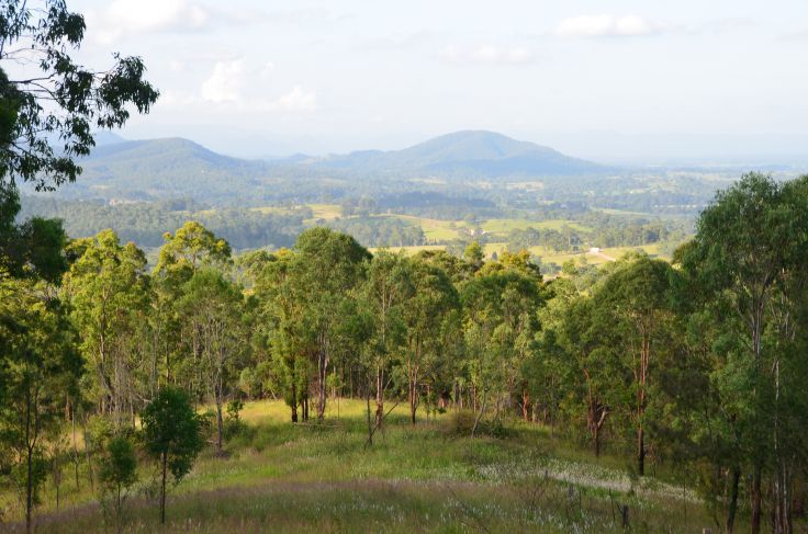 DOLLYS FLAT NSW 2429, Image 0