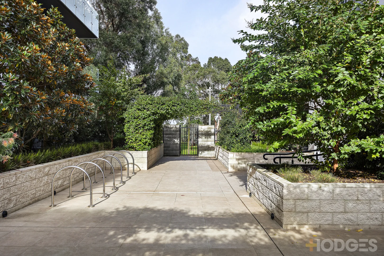 Image 12