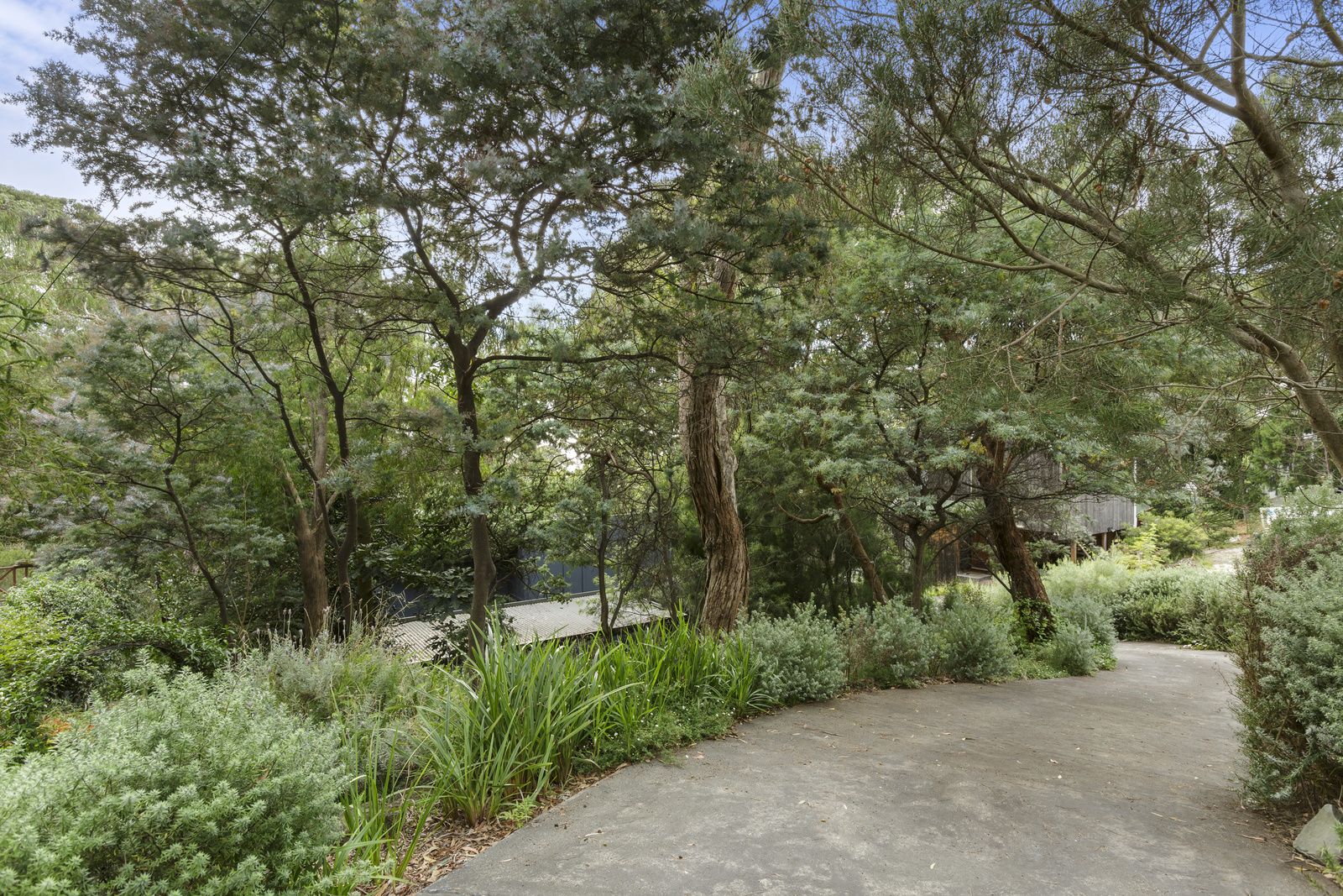 11 Lorne Avenue, Lorne VIC 3232, Image 1