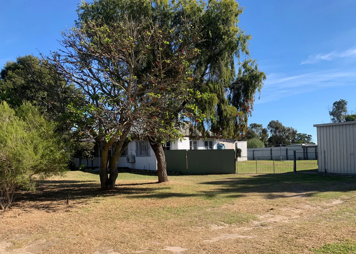 Image 21